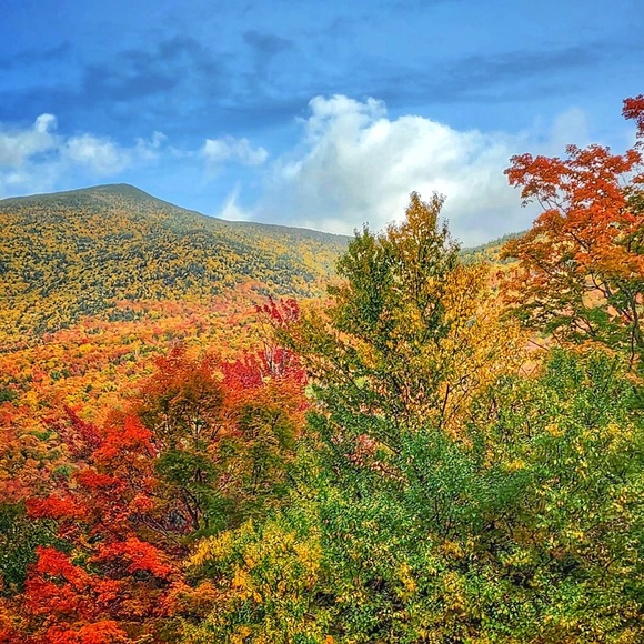 Meet your Posher, Kyrie - Picture 11 of 12